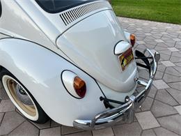 1965 Volkswagen Beetle (CC-1830471) for sale in Miami, Florida