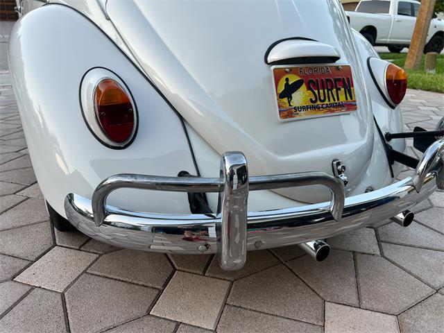 1965 Volkswagen Beetle (CC-1830471) for sale in Miami, Florida