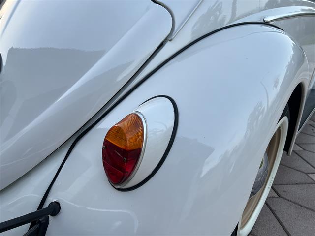 1965 Volkswagen Beetle (CC-1830471) for sale in Miami, Florida