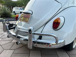 1965 Volkswagen Beetle (CC-1830471) for sale in Miami, Florida