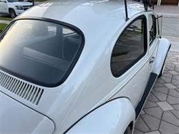 1965 Volkswagen Beetle (CC-1830471) for sale in Miami, Florida
