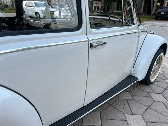 1965 Volkswagen Beetle (CC-1830471) for sale in Miami, Florida