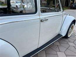 1965 Volkswagen Beetle (CC-1830471) for sale in Miami, Florida