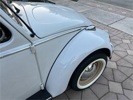 1965 Volkswagen Beetle (CC-1830471) for sale in Miami, Florida