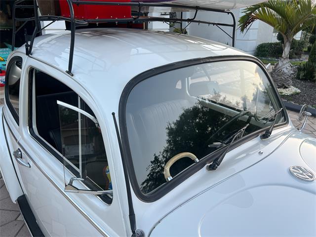 1965 Volkswagen Beetle (CC-1830471) for sale in Miami, Florida