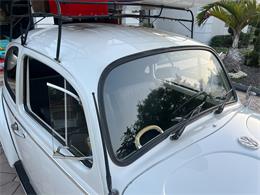 1965 Volkswagen Beetle (CC-1830471) for sale in Miami, Florida