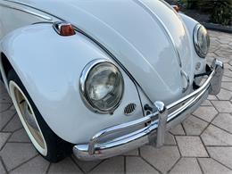 1965 Volkswagen Beetle (CC-1830471) for sale in Miami, Florida