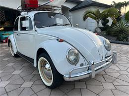 1965 Volkswagen Beetle (CC-1830471) for sale in Miami, Florida