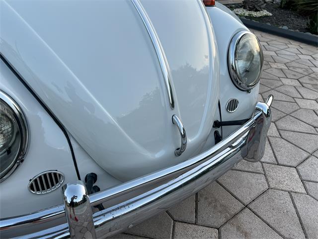 1965 Volkswagen Beetle (CC-1830471) for sale in Miami, Florida