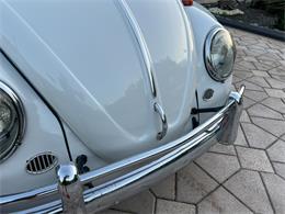 1965 Volkswagen Beetle (CC-1830471) for sale in Miami, Florida