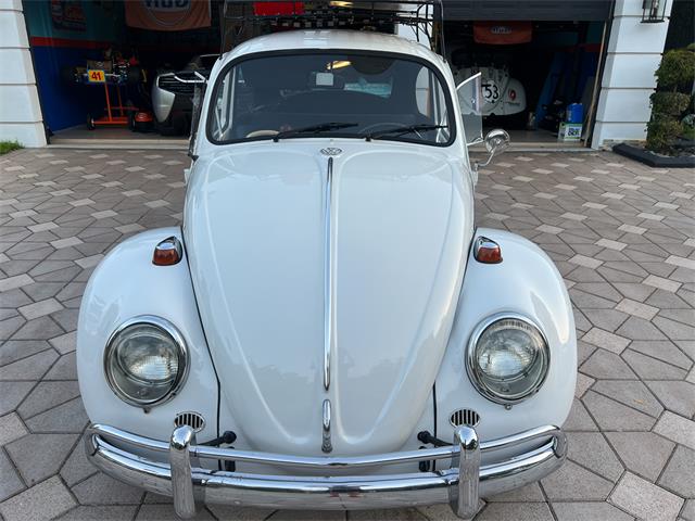 1965 Volkswagen Beetle (CC-1830471) for sale in Miami, Florida