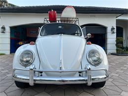 1965 Volkswagen Beetle (CC-1830471) for sale in Miami, Florida