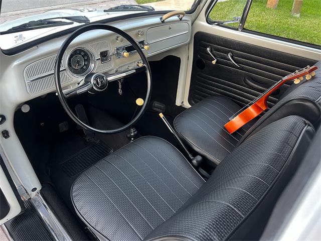 1965 Volkswagen Beetle (CC-1830471) for sale in Miami, Florida