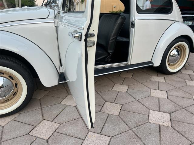 1965 Volkswagen Beetle (CC-1830471) for sale in Miami, Florida