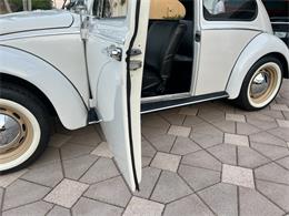 1965 Volkswagen Beetle (CC-1830471) for sale in Miami, Florida