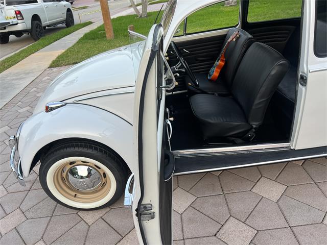 1965 Volkswagen Beetle (CC-1830471) for sale in Miami, Florida