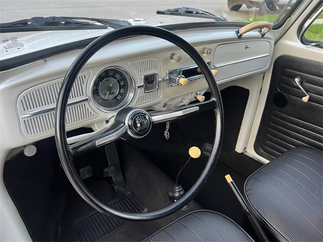 1965 Volkswagen Beetle (CC-1830471) for sale in Miami, Florida