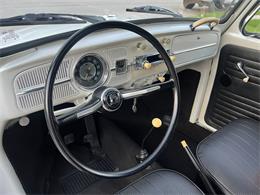 1965 Volkswagen Beetle (CC-1830471) for sale in Miami, Florida