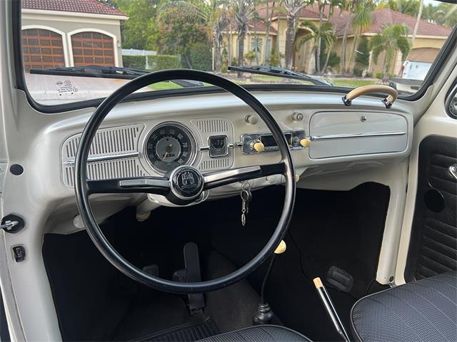 1965 Volkswagen Beetle (CC-1830471) for sale in Miami, Florida