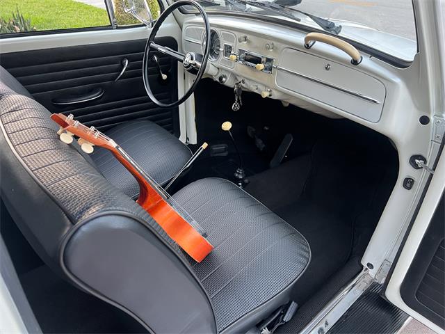 1965 Volkswagen Beetle (CC-1830471) for sale in Miami, Florida