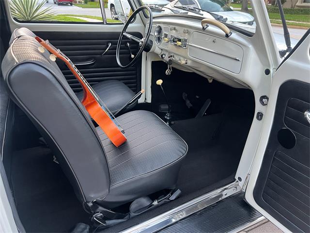 1965 Volkswagen Beetle (CC-1830471) for sale in Miami, Florida