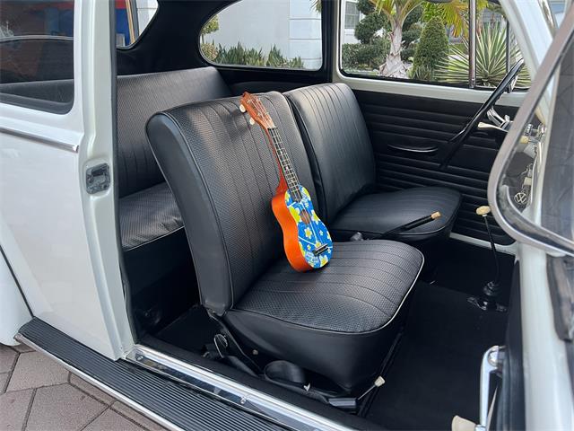 1965 Volkswagen Beetle (CC-1830471) for sale in Miami, Florida