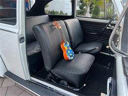 1965 Volkswagen Beetle (CC-1830471) for sale in Miami, Florida