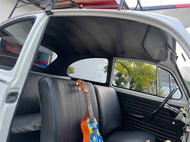 1965 Volkswagen Beetle (CC-1830471) for sale in Miami, Florida