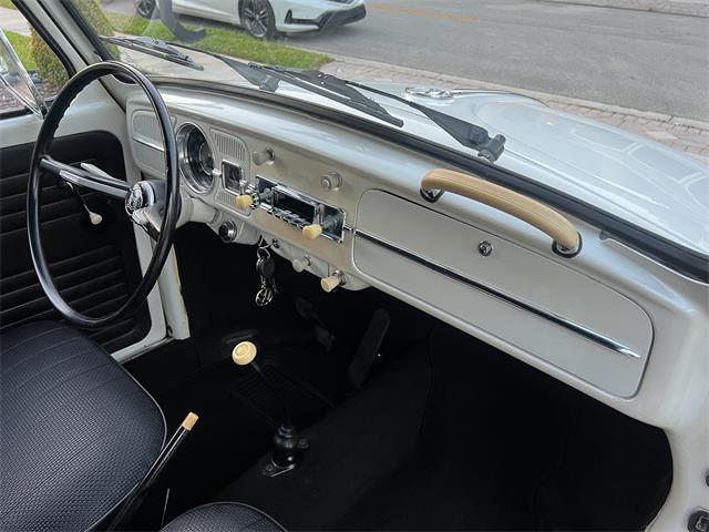 1965 Volkswagen Beetle (CC-1830471) for sale in Miami, Florida