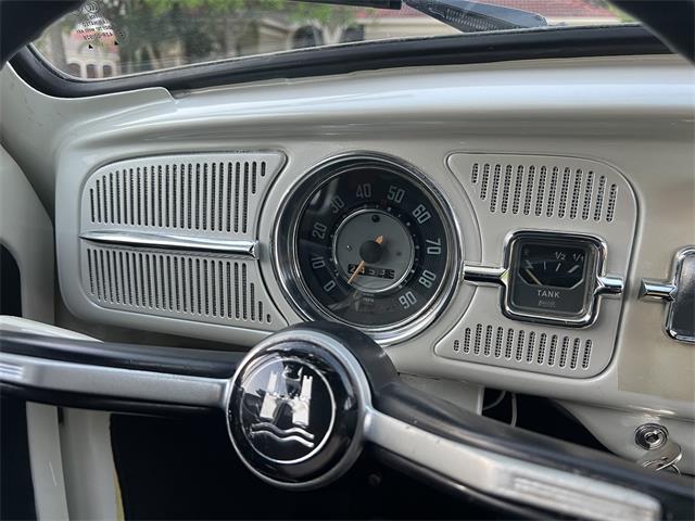 1965 Volkswagen Beetle (CC-1830471) for sale in Miami, Florida