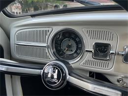 1965 Volkswagen Beetle (CC-1830471) for sale in Miami, Florida