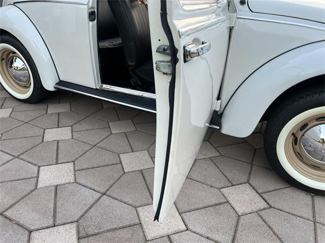 1965 Volkswagen Beetle (CC-1830471) for sale in Miami, Florida