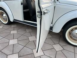 1965 Volkswagen Beetle (CC-1830471) for sale in Miami, Florida