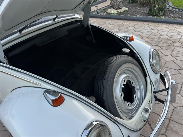 1965 Volkswagen Beetle (CC-1830471) for sale in Miami, Florida