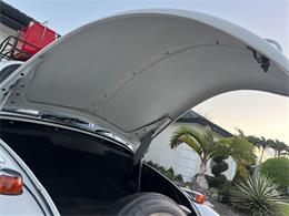 1965 Volkswagen Beetle (CC-1830471) for sale in Miami, Florida