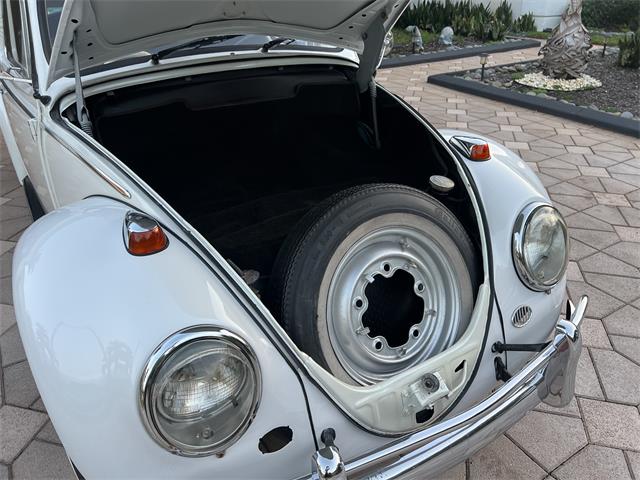 1965 Volkswagen Beetle (CC-1830471) for sale in Miami, Florida