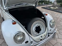 1965 Volkswagen Beetle (CC-1830471) for sale in Miami, Florida