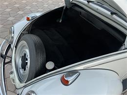 1965 Volkswagen Beetle (CC-1830471) for sale in Miami, Florida