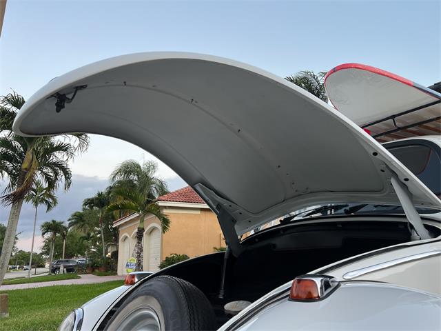 1965 Volkswagen Beetle (CC-1830471) for sale in Miami, Florida