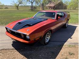 1973 Ford Mustang (CC-1834839) for sale in Fredericksburg, Texas