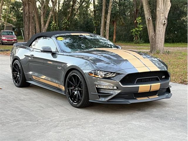 2022 Shelby GT (CC-1835122) for sale in Orlando, Florida