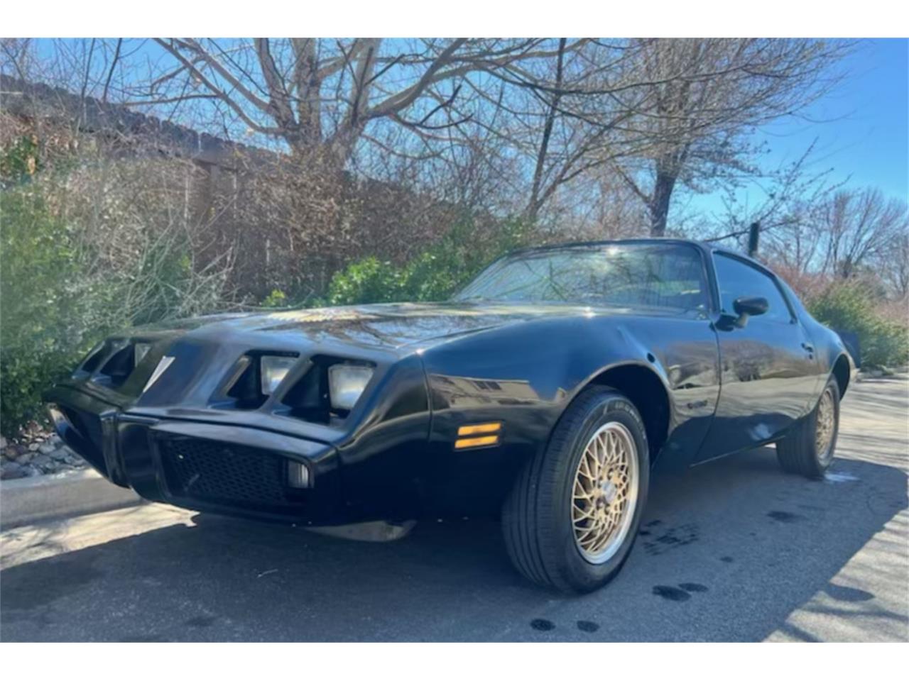 1979 Pontiac Firebird for Sale | ClassicCars.com | CC-1835216