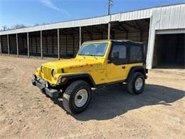 2002 Jeep Wrangler (CC-1835780) for sale in Clayton, Indiana