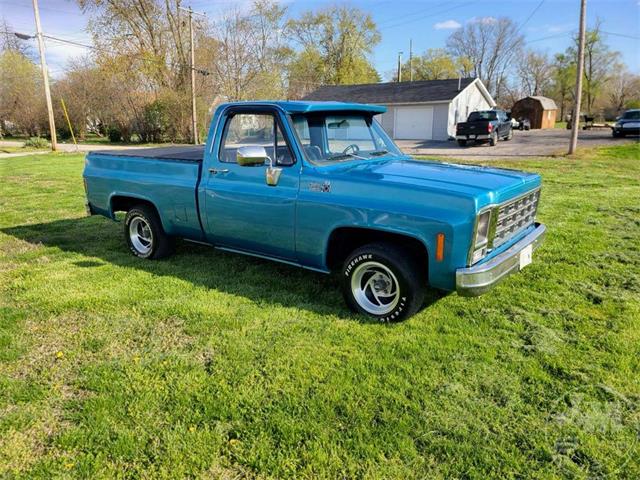 1979 Chevrolet C/K 10 (CC-1835798) for sale in Clayton, Indiana