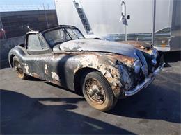 1954 Jaguar XK120 (CC-1836093) for sale in Astoria, New York