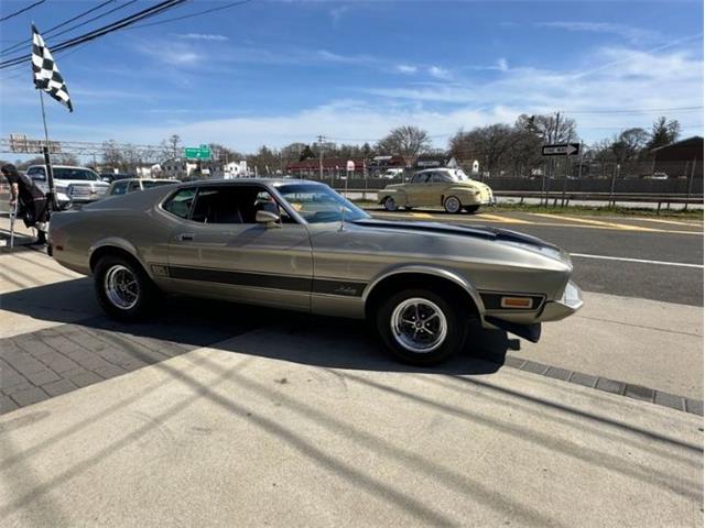 1973 Ford Mustang (CC-1836812) for sale in Cadillac, Michigan