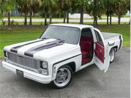 1979 Chevrolet C10 (CC-1830690) for sale in Palmetto, Florida