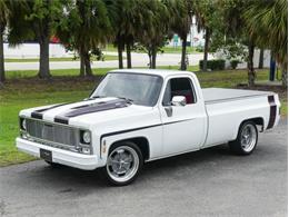 1979 Chevrolet C10 (CC-1830690) for sale in Palmetto, Florida