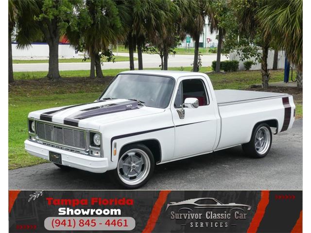 1979 Chevrolet C10 (CC-1830690) for sale in Palmetto, Florida