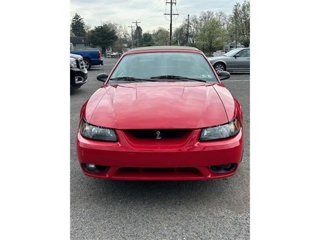 1999 Ford Mustang Cobra (CC-1837327) for sale in Carlisle, Pennsylvania